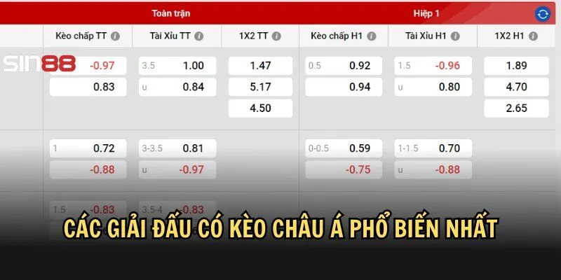 Hàng chục giải đấu lớn cá cược 